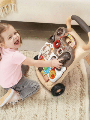 VTech Sit-to-Stand Learning Walker